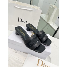 Christian Dior Slippers